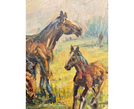 Antico dipinto olio su tela - Cavalli al pascolo - 1900, 82x62cm