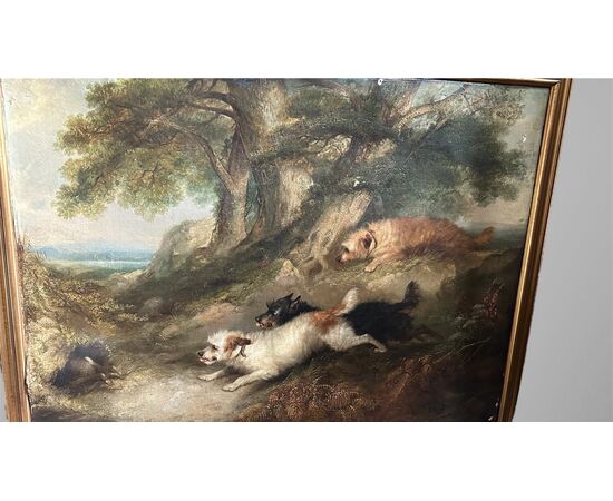 Dipinto, olio su tela, "Terriers che inseguono un coniglio" firmato G. Armfield - XIX sec. 