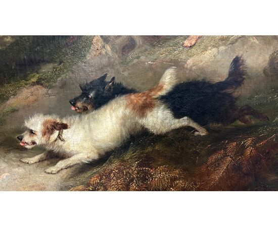 Dipinto, olio su tela, "Terriers che inseguono un coniglio" firmato G. Armfield - XIX sec. 