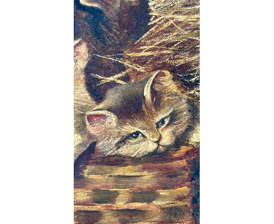Dipinto di gatti, Olio su tela " Gattini in una valigetta di vimini" - Napoleone III. 