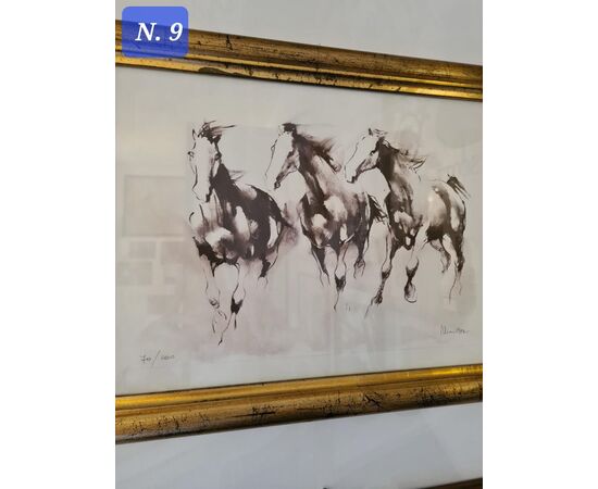 ACQUAFORTE  "CAVALLI " ALIGI SASSU