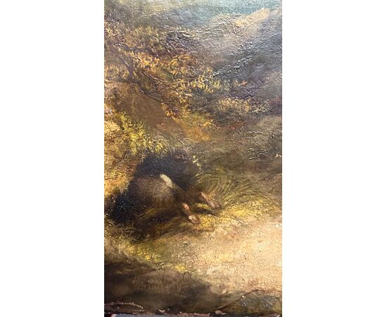 Dipinto, olio su tela, "Terriers che inseguono un coniglio" firmato G. Armfield - XIX sec. 