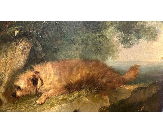 Dipinto, olio su tela, "Terriers che inseguono un coniglio" firmato G. Armfield - XIX sec. 