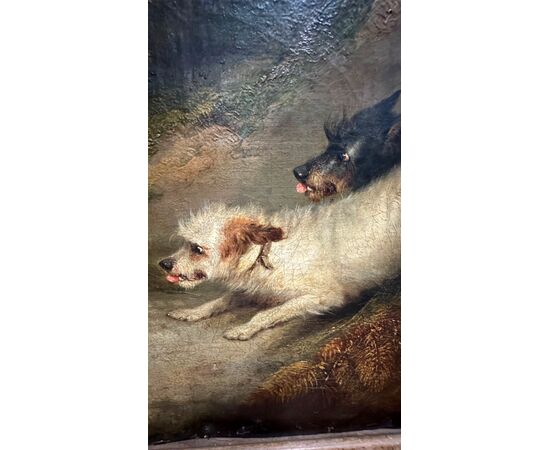 Dipinto, olio su tela, "Terriers che inseguono un coniglio" firmato G. Armfield - XIX sec. 