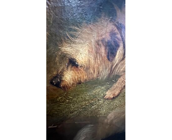 Dipinto, olio su tela, "Terriers che inseguono un coniglio" firmato G. Armfield - XIX sec. 