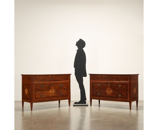 Pair of Neoclassical Chests of Drawers, Italy, Last Quarter of the 18th Century