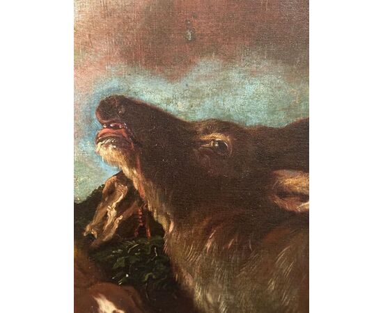 Brandi Domenico 1684-1736, Hunting dogs and deer