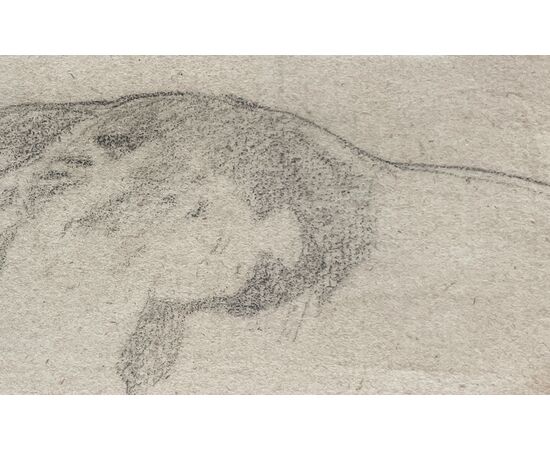 Leonessa - Disegno Atelier de Brunet-Houard (1827-1922)