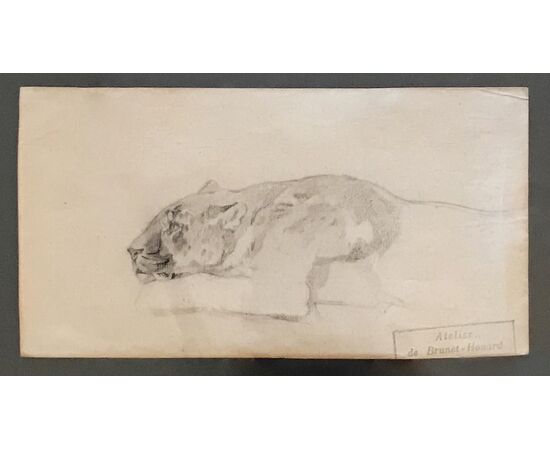 Leonessa - Disegno Atelier de Brunet-Houard (1827-1922)