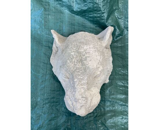 Calco Gesso Leone