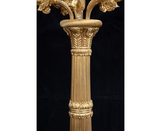 Coppia di candelabri antichi Carlo X a sei fiamme in bronzo dorato appartenente agli inizi del XIX secolo.