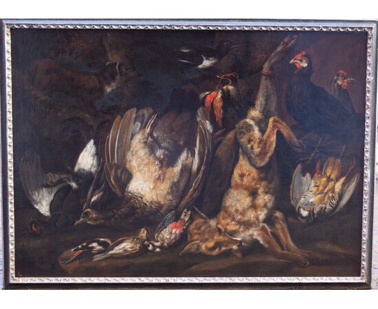 Natura morta Johannes Hermans (Anversa, 1630 - 1677) detto Monsù Aurora - Fiammingo XVII secolo - Olio su tela