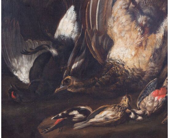Natura morta Johannes Hermans (Anversa, 1630 - 1677) detto Monsù Aurora - Fiammingo XVII secolo - Olio su tela
