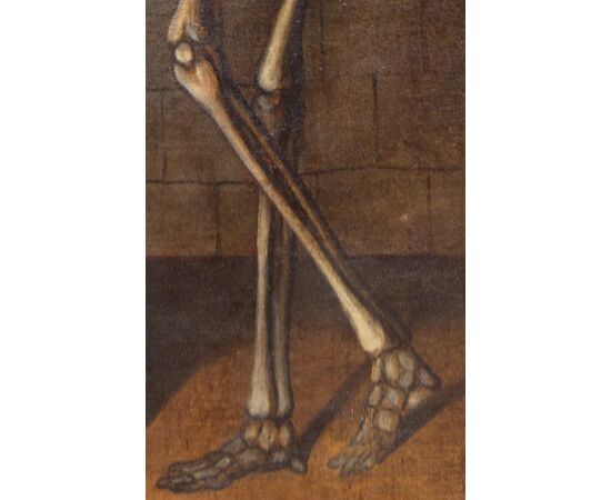 Memento mori - XVII secolo - Olio su tela