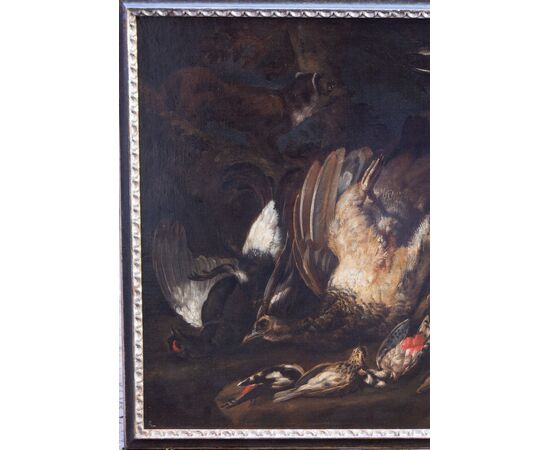 Natura morta Johannes Hermans (Anversa, 1630 - 1677) detto Monsù Aurora - Fiammingo XVII secolo - Olio su tela