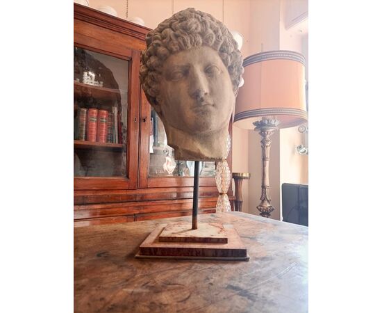 Testa di Antinoo Capitolino