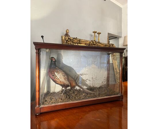 Coppia di teche decorative in vetro