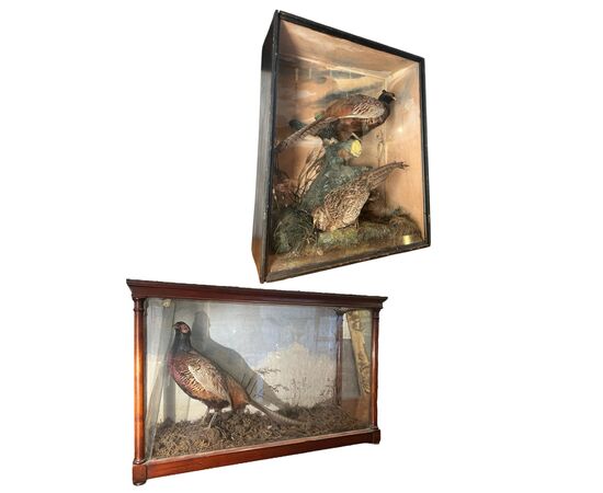 Coppia di teche decorative in vetro