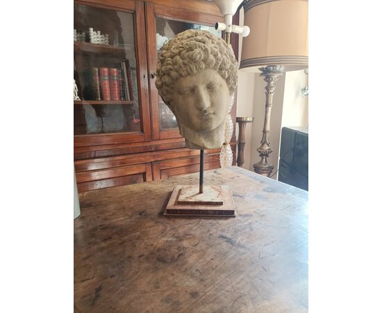Testa di Antinoo Capitolino