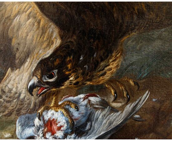 Baldassarre De Caro (Napoli, 1689 – 1750)  Rapace cattura un piccione, tartaruga, rana e serpente