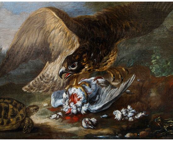 Baldassarre De Caro (Napoli, 1689 – 1750)  Rapace cattura un piccione, tartaruga, rana e serpente