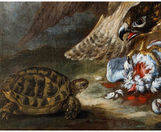 Baldassarre De Caro (Napoli, 1689 – 1750)  Rapace cattura un piccione, tartaruga, rana e serpente