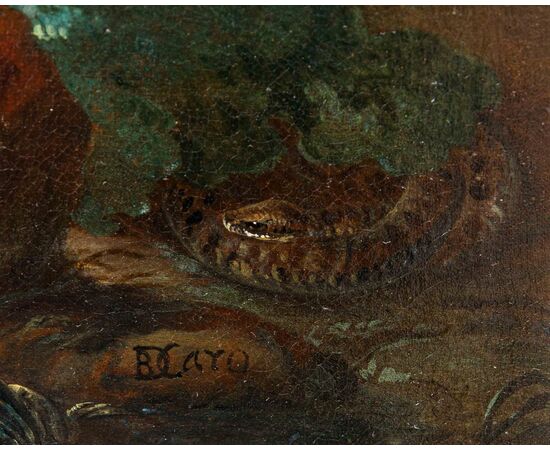 Baldassarre De Caro (Napoli, 1689 – 1750)  Rapace cattura un piccione, tartaruga, rana e serpente