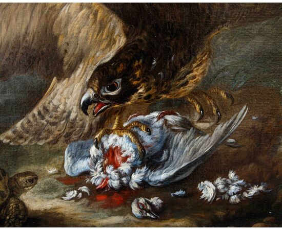 Baldassarre De Caro (Napoli, 1689 – 1750)  Rapace cattura un piccione, tartaruga, rana e serpente