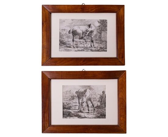 Coppia stampe cavalli di epoca fiamminga - ST/298 -