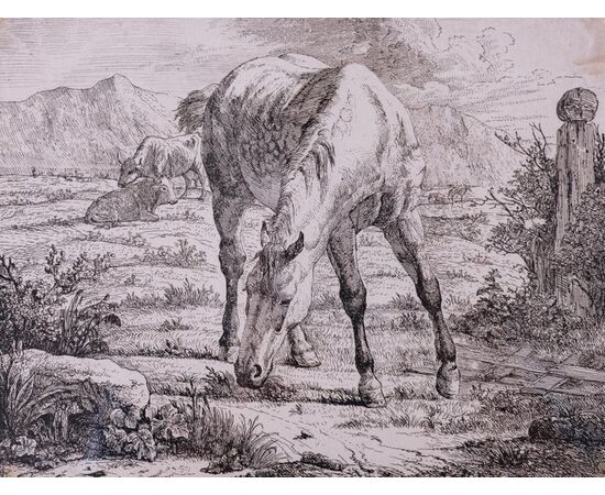 Coppia stampe cavalli di epoca fiamminga - ST/298 -