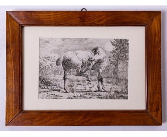 Coppia stampe cavalli di epoca fiamminga - ST/298 -