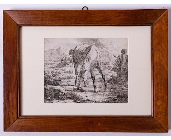 Coppia stampe cavalli di epoca fiamminga - ST/298 -