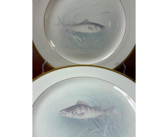 Set 12 piatti pesce
