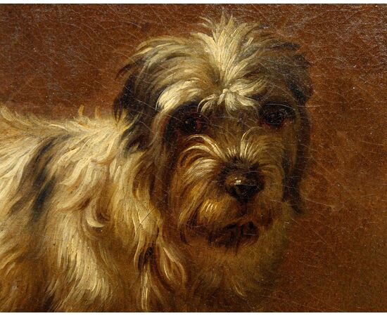 Francesco Londonio (Milano, 1723 – 1783), Ritratto di cagnolino