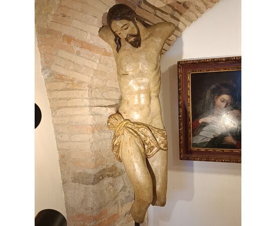 Polychrome wooden Christ torso, late 16th century, Umbro-Tuscan, high class