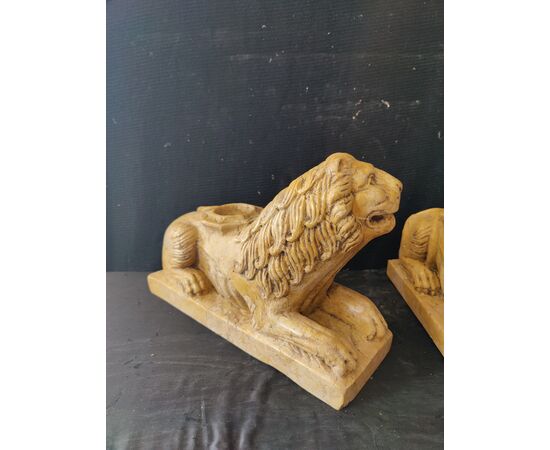 Spettacolare coppia di Leoni stile gotico, portalume - Venezia - 37x13 cm