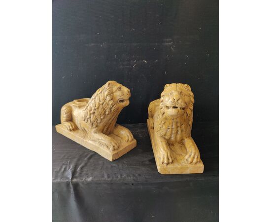 Spettacolare coppia di Leoni stile gotico, portalume - Venezia - 37x13 cm