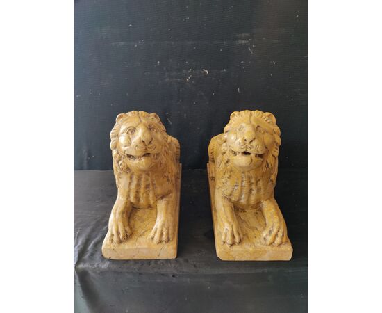 Spettacolare coppia di Leoni stile gotico, portalume - Venezia - 37x13 cm