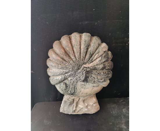 Elegante Acquasantiera Veneziana in marmo - 36 x 29 cm