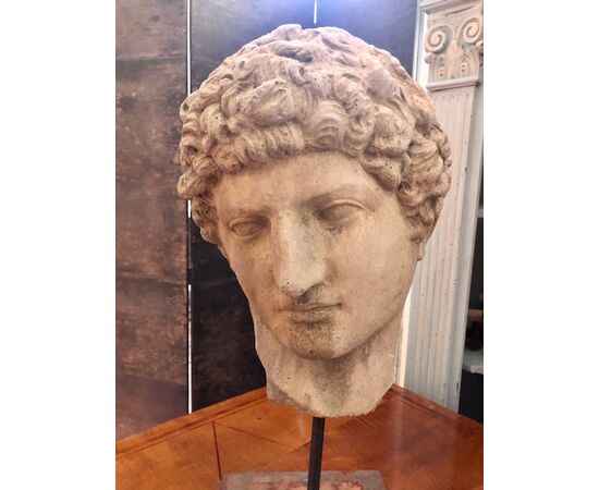 Head of Capitoline Antinous