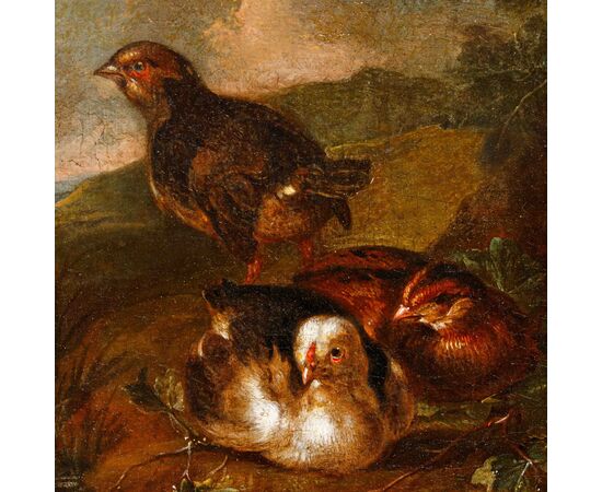 Scuola emiliana, XVIII secolo, Coppia di nature vive con volatili