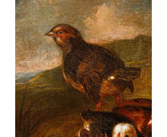Scuola emiliana, XVIII secolo, Coppia di nature vive con volatili