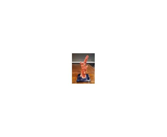 Sculpture in Mediterranean red coral