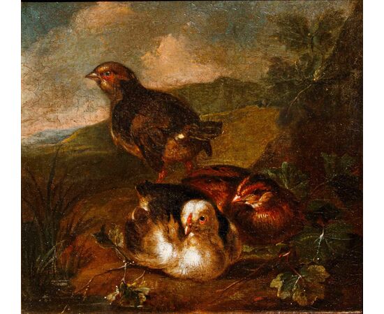 Scuola emiliana, XVIII secolo, Coppia di nature vive con volatili