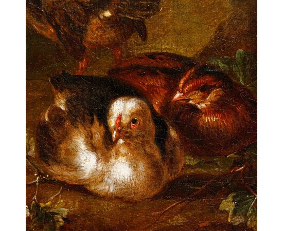 Scuola emiliana, XVIII secolo, Coppia di nature vive con volatili