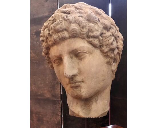 Head of Capitoline Antinous