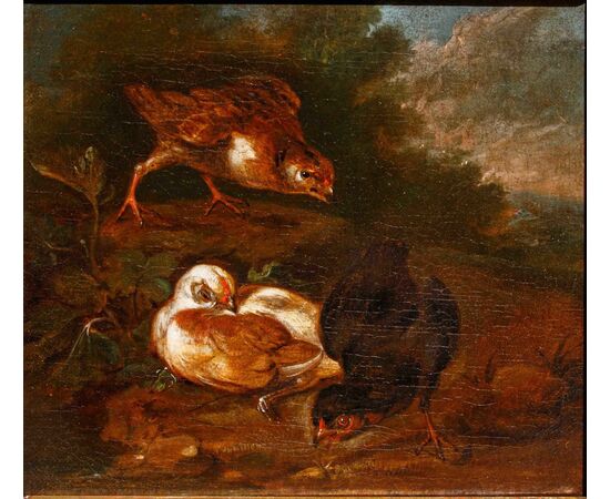 Scuola emiliana, XVIII secolo, Coppia di nature vive con volatili