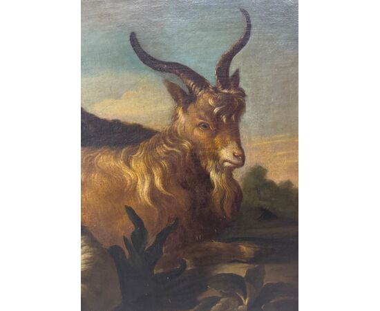 ROSA DA TIVOLI – DIPINTO SU TELA “SCENA PASTORALE CON CAPRA, PECORE E CANE”