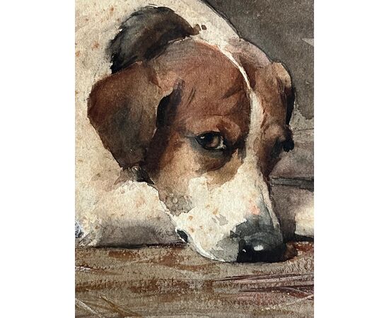 I cagnolini