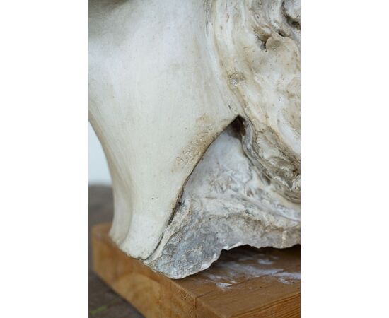 Female plaster head – Giuseppe Siccardi, Bergamo, early 20th century